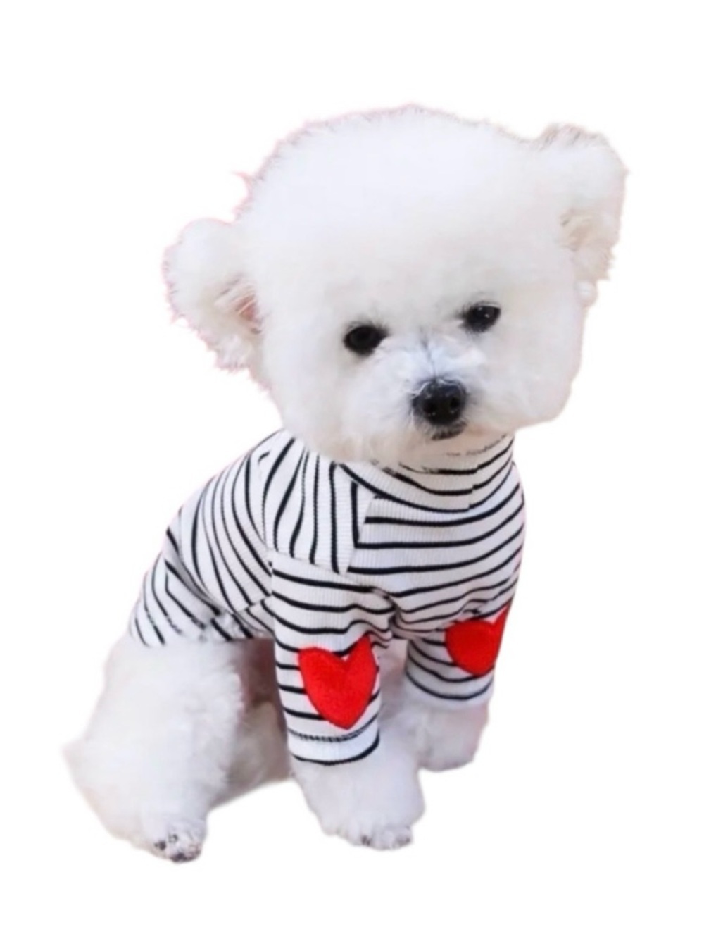 ADORABLE BLACK & WHITE STRIPE PULLOVER DOG SWEATER WITH RED HEART ACCENTS